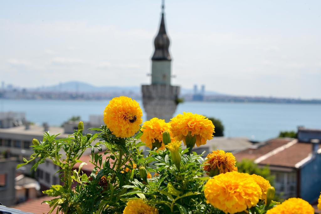 Ottomarin Hotel Old City Istanbul Rum bild